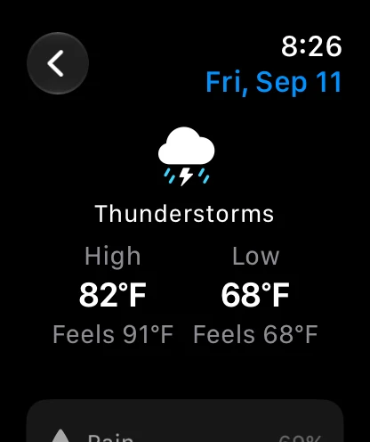 A day's forecast detail in the WeatherAI Apple Watch app